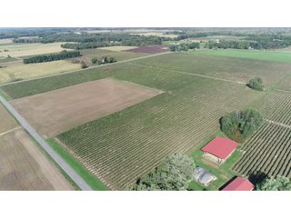Barn in Van Buren County, Michigan - LAND AUCTION - 300+/- ACRES SPECIALTY CROP - GRAPES AND HOPS - OFFERED IN 8 TRACTS IN VAN BUREN COUNTY, MICHIGAN